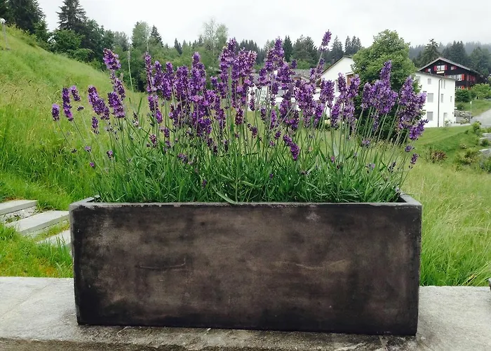 Restaurant Chesa Flims